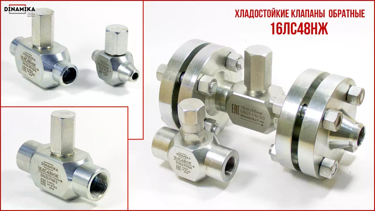 16лс48нж Клапан обратный подъёмный в Санкт-Петербурге